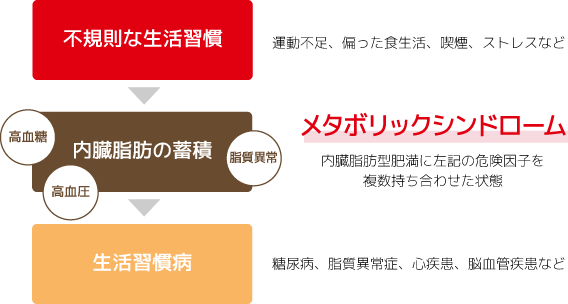 特定健康診査・保健指導について／茨城県